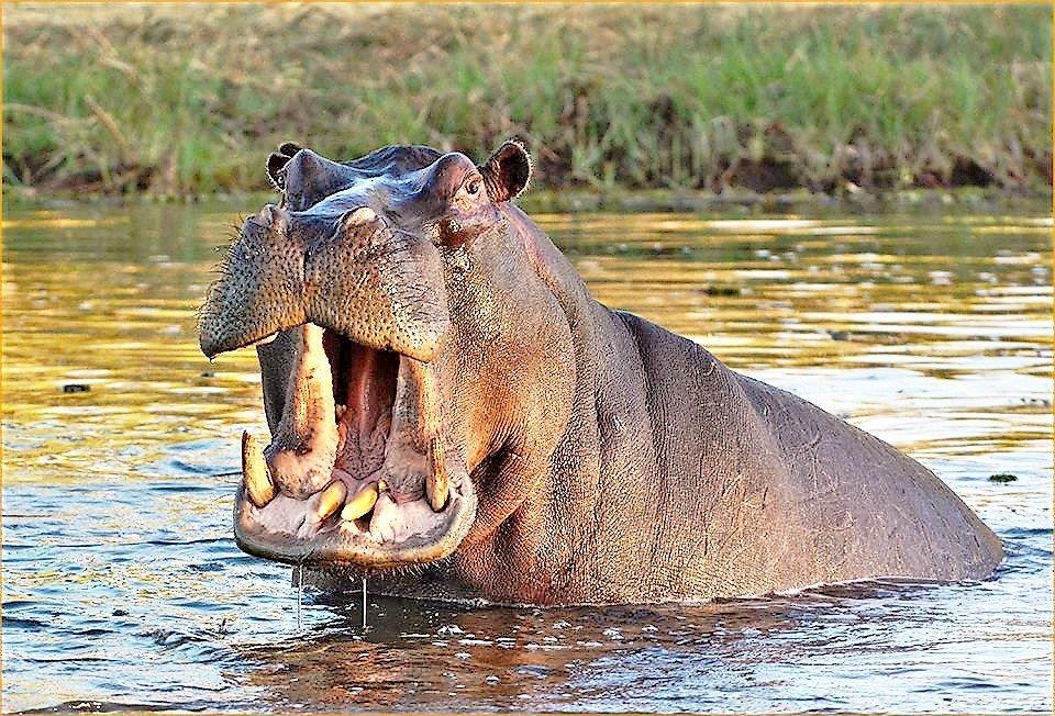 Mabalingwe Uzuri Lodge Bela-Bela Ngoại thất bức ảnh